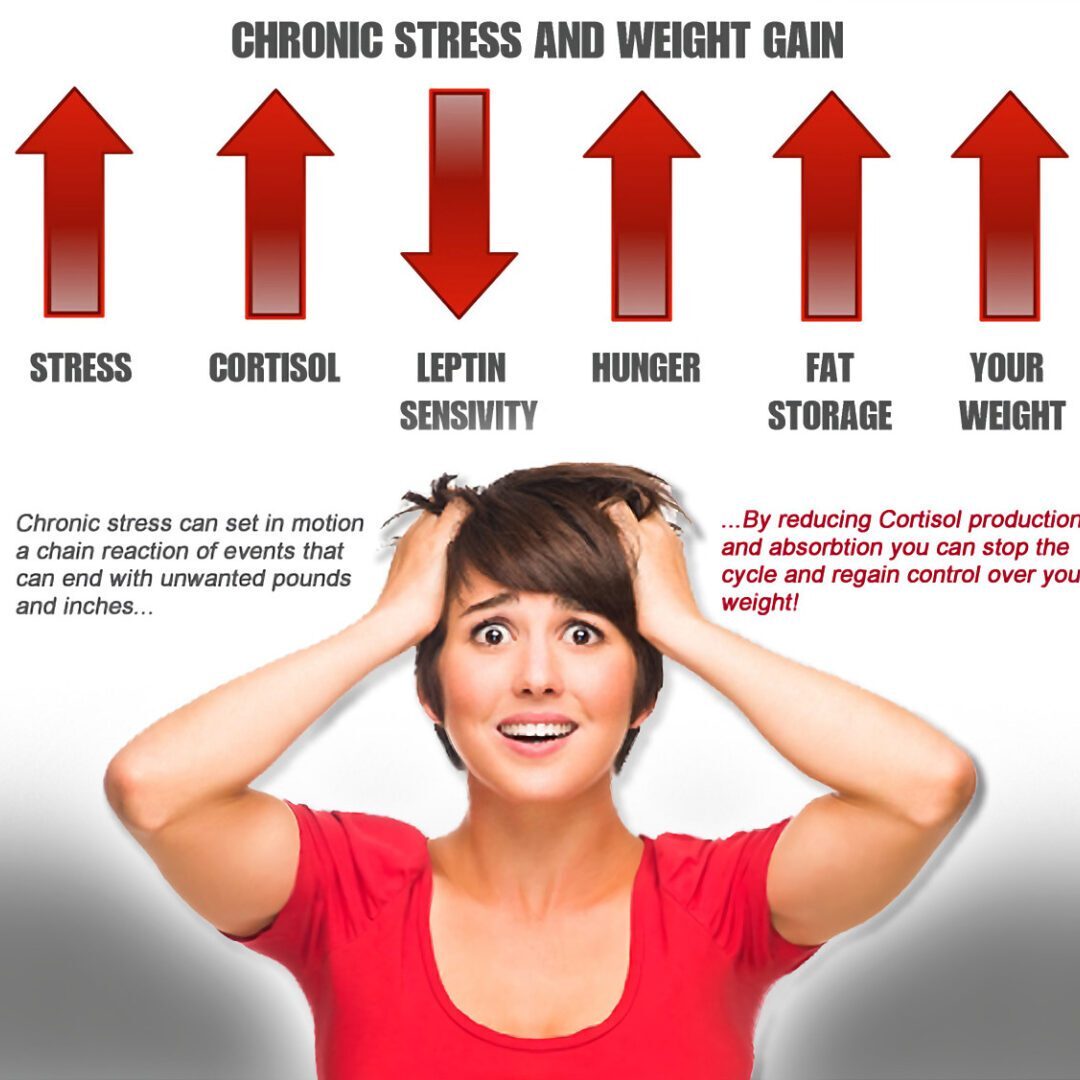 stress and weightcortisol stress - cropped